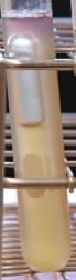Glucose fermentation broth