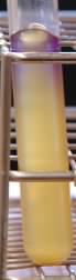 Glucose fermentation broth